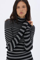 Pull col roulé rayée en laine et lurex Raye noir/argent vue de détail 1
