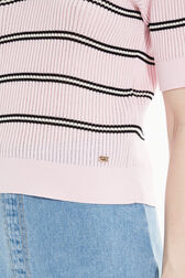 Women Multicolor Striped Polo Baby pink details view 2