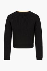 Wool Merinos Rykiel Sweater Black back view