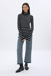 Striped turtleneck sweater in wool and lurex Black/silver front worn view