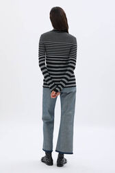 Pull col roulé rayée en laine et lurex Raye noir/argent vue portée de dos