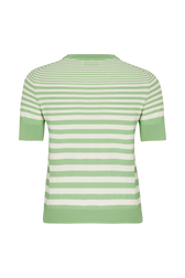 Striped short-sleeved crew-neck sweater Striped anise/white back view