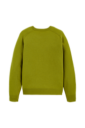 Women Wool Flowers Sweater Pistachio back view