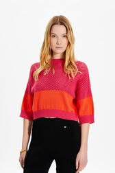 Women Two-Tone Fishnet Crop Top Striped fuchsia/coral details view 1