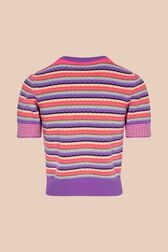 Women Pastel Multicolor Striped Short Sleeve Sweater Lilac back view
