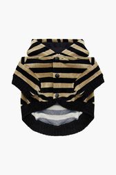 Pull à capuche chien velours Raye noir/kaki vue de dos