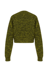 Moulded wool sweater Acid back view