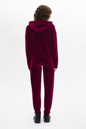 Pantalon de jogging en velours Framboise vue portée de dos