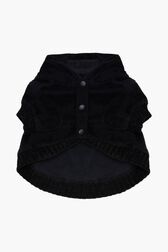 Pull à capuche chien velours Noir vue de dos