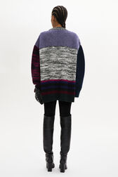 Long-Sleeved Crew-Neck Jumper Multico back worn view