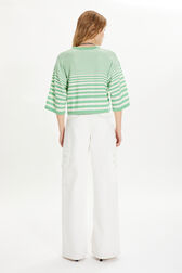 Short-sleeved striped sweater Striped anise/white back worn view