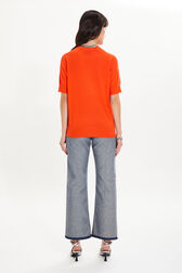 Short-sleeved sweater in merino wool and silk Lipstick back worn view