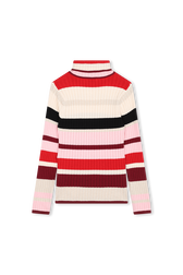 Polo neck sweater or jumper Multico striped back view