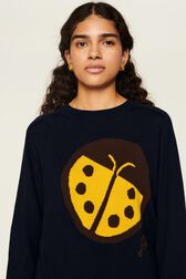 Pull symbole coccinelle femme Bleu nuit vue de détail 1