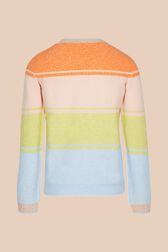 Pull rayé multicolore femme Multico vue de dos
