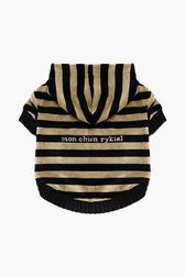 Pull à capuche chien velours Raye noir/kaki vue de face