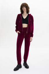 Pantalon de jogging en velours Framboise vue portée de face