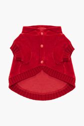 Pull à capuche chien velours Rouge vue de dos