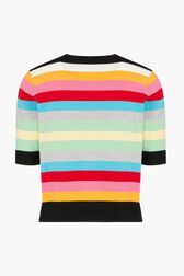 Multicolored Striped Sweater with Short Sleeves Multico back view