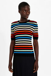 Women Multicolor Striped Ribbed Short Sleeve Top Multico striped details view 1