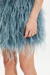 Jupe mini en plumes Bleu gris vue de détail 1