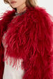 Veste courte en plumes Lipstick vue de détail 1