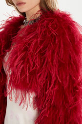 Veste courte en plumes Lipstick vue de détail 1