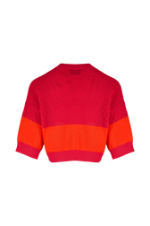 Women Two-Tone Fishnet Crop Top Striped fuchsia/coral back view