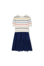Stripped dress 2 in 1 Blue back view
