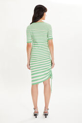 Striped short-sleeved mini dress with asymmetric collar Striped anise/white back worn view