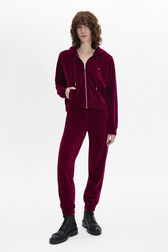Sweat à capuche manches longues en velours Framboise vue portée de face