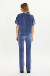 Short-sleeved velvet T-shirt Blue grey back worn view