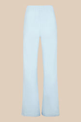 Women Velvet Flare Pants Baby blue back view