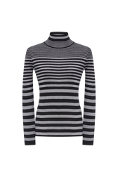 Striped turtleneck sweater in wool and lurex Black/silver front view