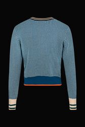 Women Houndstooth Sweater Baby blue back view