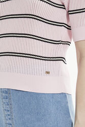 Women Multicolor Striped Polo Baby pink details view 2