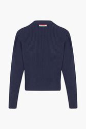 Pull en laine parme Raye noir/bleu vue de dos