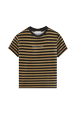 Women Solid - Women Velvet T-shirt, Striped black/khaki front view