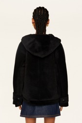 Women Solid - Women Velvet Jacket, Black back worn view