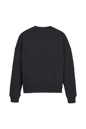 Women Solid - Plain Crewneck Sweater, Black back view