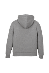 Women Solid - Women Signature Multicolor Hoodie, Grey back view