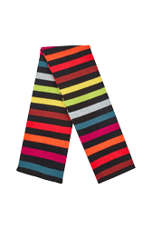 Women Multicolor Striped Scarf Multico striped front view