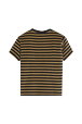 Women Solid - Women Velvet T-shirt, Striped black/khaki back view