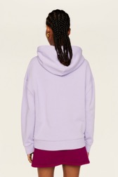 Women Solid - Multicolored Signature Hoodie, Lilac back worn view