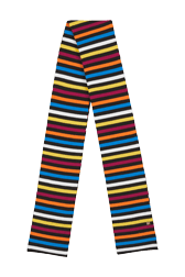 Women Multicolor Striped Scarf Multico iconic striped front view