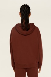 Women Solid - Cotton Jersey Hoodie, Chocolate back worn view