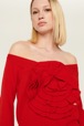 Women Maille - Women Plain Flower Sweater, Red details view 1