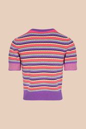 Women - Multicolored Stripes Short Sleeves Pullover, Lilac back view