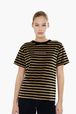 Women Solid - Women Velvet T-shirt, Striped black/khaki front worn view