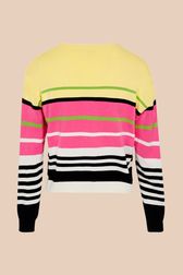Women Colorblock Sonia Rykiel logo Sweater Multico back view